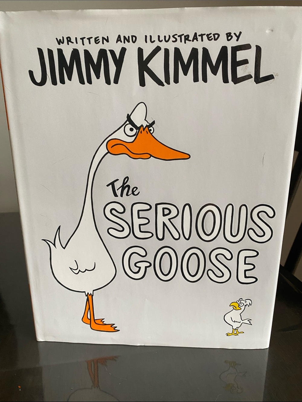 The Serious Goose Storybook by Jimmy Kimmel